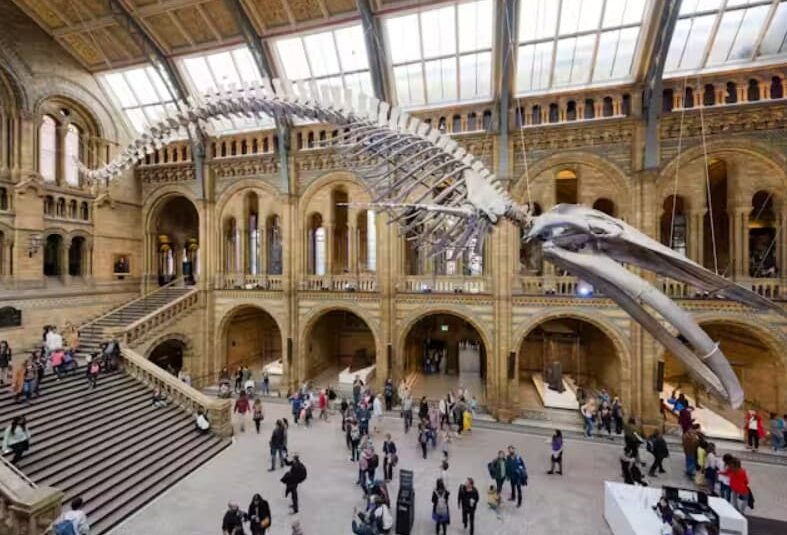 Natural History Museum London Natural History Museum London